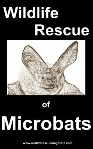 Wildlife Rescue of the Microbat by Andrea Devos, Rohan Clarke, Pamela Dury, Mary Crichton, Narelle Power, Amanda Lollar, Michael J. Barritt, Sue Samphier, Lisa Cawthen, Ashleigh Johnson