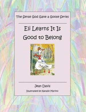 The Sense God Gave a Goose Series by Jean Davis