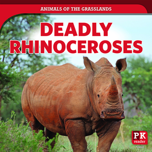 Deadly Rhinoceroses by Theresa Emminizer