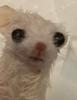kroymatic's profile picture