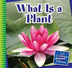 What Is a Plant by Jennifer Colby