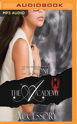 Accessory by C.L. Stone