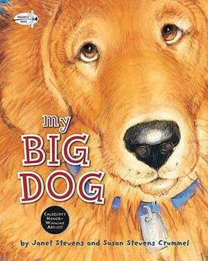 My Big Dog by Janet Stevens, Susan Stevens Crummel