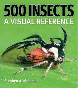 500 Insects: A Visual Reference by Stephen Marshall