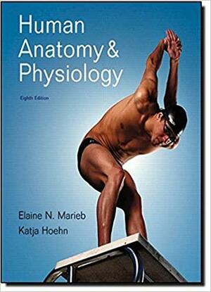 Human Anatomy &amp; Physiology by Elaine Marieb, Suzanne Keller