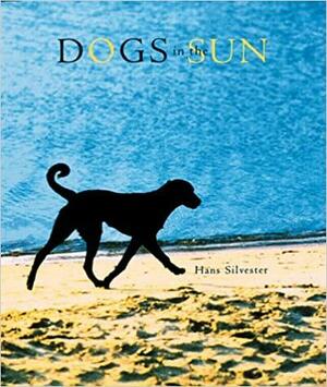 Dogs in the Sun by Hans W. Silvester