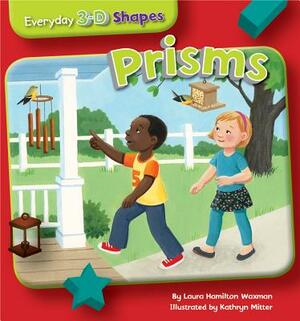 Prisms by Laura Hamilton Waxman