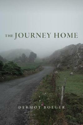 The Journey Home by Dermot Bolger