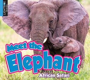 Meet the Elephant by Katie Gillespie