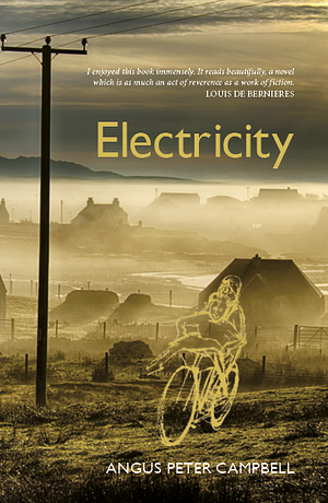 Electricity by Angus Peter Campbell