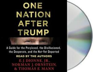 One Nation After Trump: A Guide for the Perplexed, the Disillusioned, the Desperate, and the Not-Yet Deported by Norman J. Ornstein, E.J. Dionne Jr., Thomas E. Mann