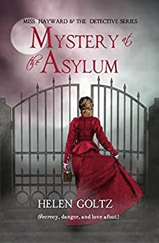 Mystery at the Asylum by Helen Goltz