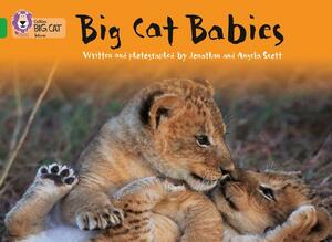 Big Cat Babies by Jonathan Scott, Angela Scott