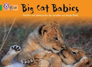 Big Cat Babies by Angela Scott, Jonathan Scott