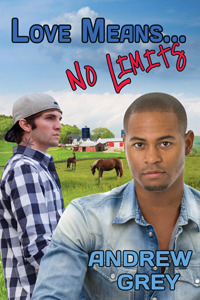 Love Means... No Limits by Andrew Grey
