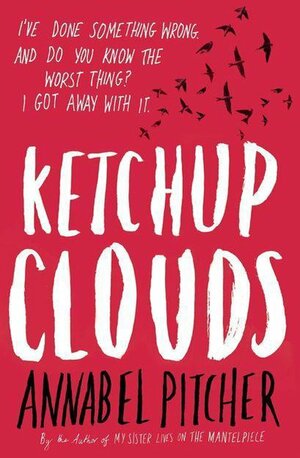Onder de ketchupwolken by Annabel Pitcher