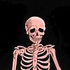 nullxcv's profile picture