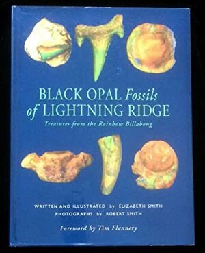 Black Opal Fossils Of Lightning Ridge: Treasures From The Rainbow Billabong by Elizabeth Smith