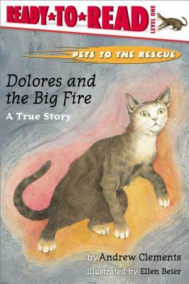 Dolores and the Big Fire by Andrew Clements