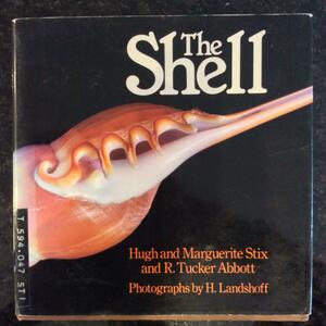 The Shell by Robert Tucker Abbott, Hugh Stix, Marguerite Stix