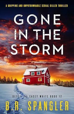 Gone in the Storm: A gripping and unputdownable serial killer thriller by B.R. Spangler, B.R. Spangler