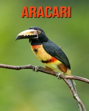Aracari: Learn About Aracari and Enjoy Colorful Pictures by Diane Jackson