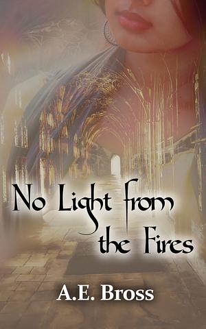 No Light from the Fires by A. E. Bross