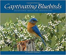 Captivating Bluebirds: Exceptional Images and Observations by Stan Tekiela