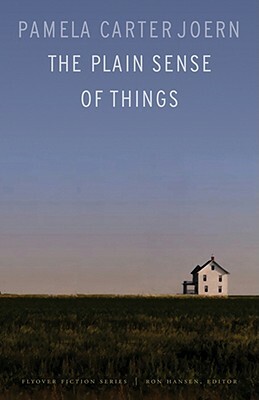 The Plain Sense of Things by Pamela Carter Joern