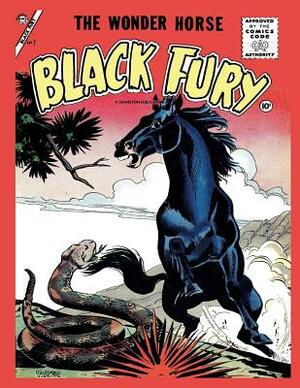 Black Fury # 7 by Charlton Comics Group
