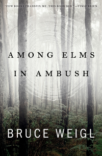 Among Elms, in Ambush by Bruce Weigl