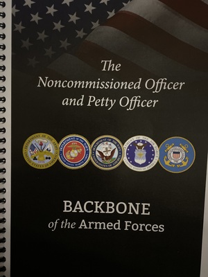 The Noncommissioned Officer and Petty Officer by Department of Defense