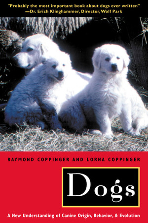 Dogs: A New Understanding of Canine Origin, Behavior and Evolution by Lorna Coppinger, Raymond Coppinger