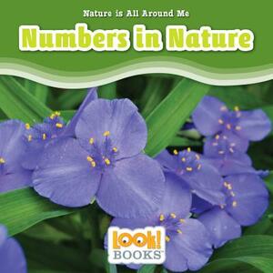 Numbers in Nature by Jennifer Marino Walters