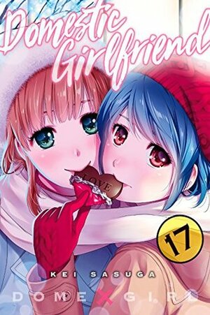 Domestic Girlfriend, Vol. 17 by Kei Sasuga
