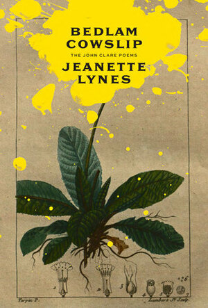 Bedlam Cowslip: The John Clare Poems by Jeanette Lynes