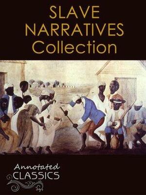 Twelve Years a Slave & American Slave Narrative Collection by Lucy Ann Delaney, Ukawsaw Gronniosaw, Solomon Northup, Harriet Ann Jacobs, Josiah Henson, Frederick Douglass, Olaudah Equiano, J.D. Green, Sojourner Truth, Henry Bibb
