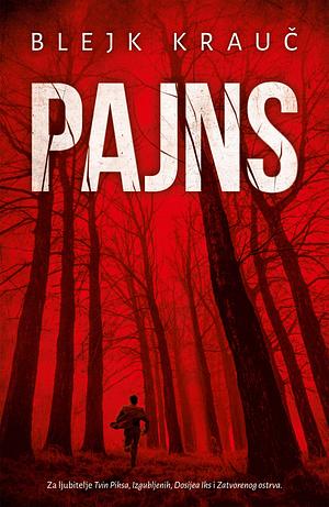 Pajns by Blake Crouch