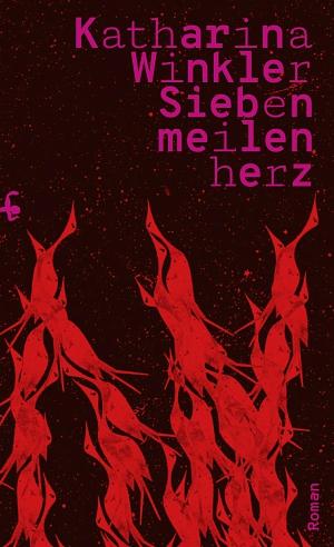 Siebenmeilenherz by Katharina Winkler