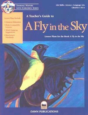 A Teacher's Guide to a Fly in the Sky by Bruce Malnor, Kristin Joy Pratt