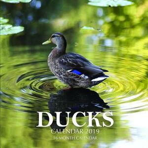 Ducks Calendar 2019: 16 Month Calendar by Mason Landon