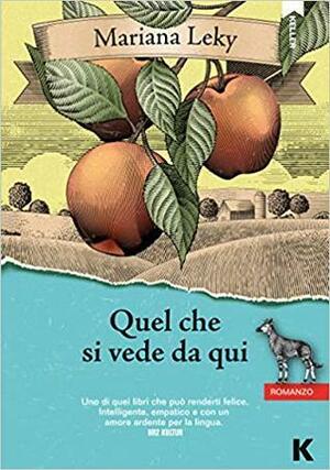 Quel che si vede da qui by Mariana Leky