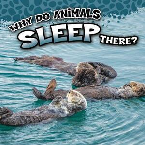 Why Do Animals Sleep There? by Sam George