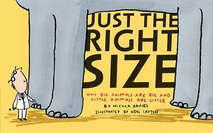 Just the Right Size: Why Big Animals Are Big and Little Animals Are Little by Nicola Davies