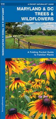 Maryland & DC Trees & Wildflowers: A Folding Pocket Guide to Familiar Species by Waterford Press, James Kavanagh