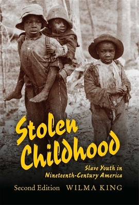 Stolen Childhood: Slave Youth in Nineteenth-Century America by Wilma King