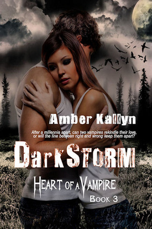 Darkstorm by Amber Kallyn