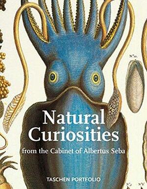 Natural Curiosities by Albertus Seba