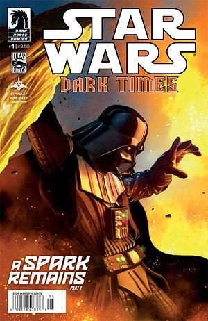 Star Wars: Dark Times - A Spark Remains #1 by Randy Stradley