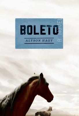 Boleto by Alyson Hagy